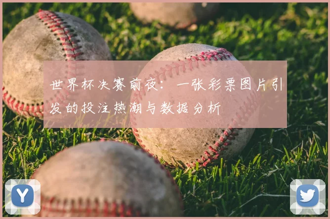 世界杯决赛前夜：一张彩票图片引发的投注热潮与数据分析