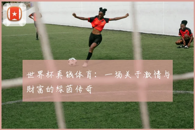 世界杯真钱体育:一场关于激情与财富的绿茵传奇