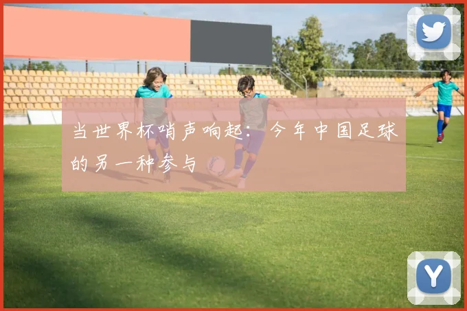 当世界杯哨声响起：今年中国足球的另一种参与
