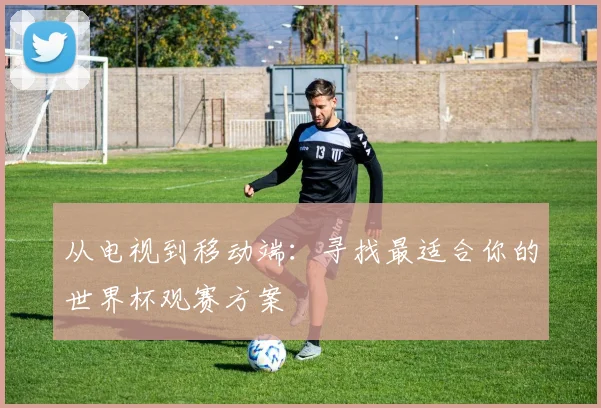 从电视到移动端：寻找最适合你的世界杯观赛方案