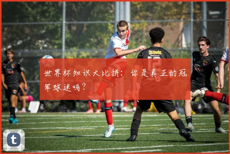 世界杯知识大比拼：你是真正的冠军球迷吗？