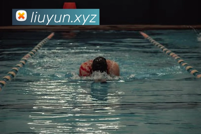 App Interface Preview